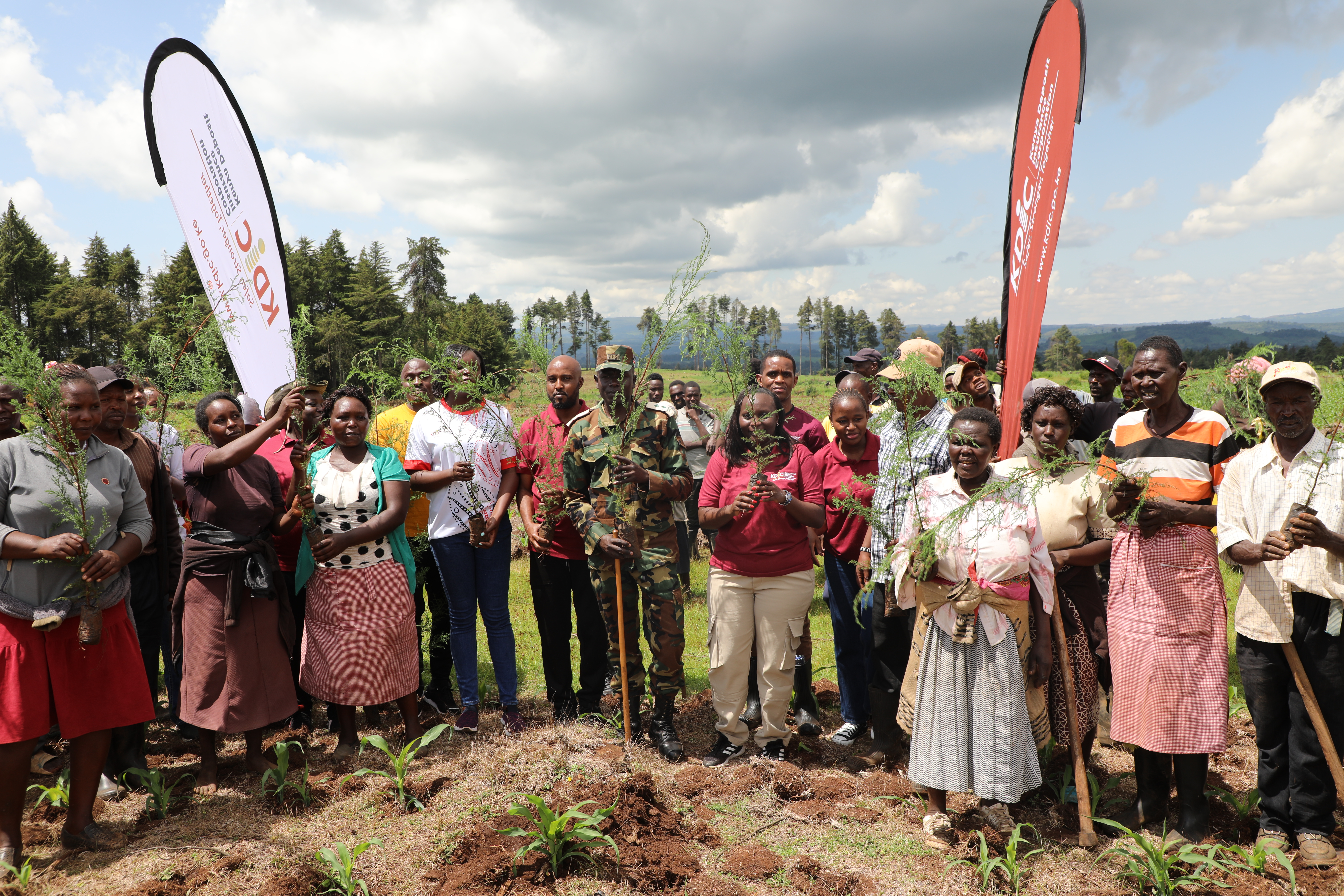 KDIC Staff At a Tree Planting Initiative In Kericho County